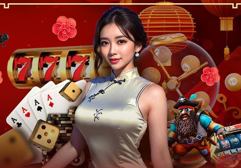 Tra cứu quyền lợi thành viên dành cho người mới – PL88