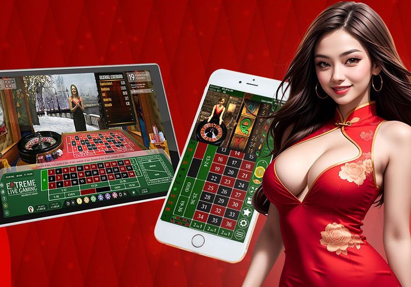 Kiểm tra thời hạn sử dụng ưu đãi từ quy tắc đến thao tác – PL88